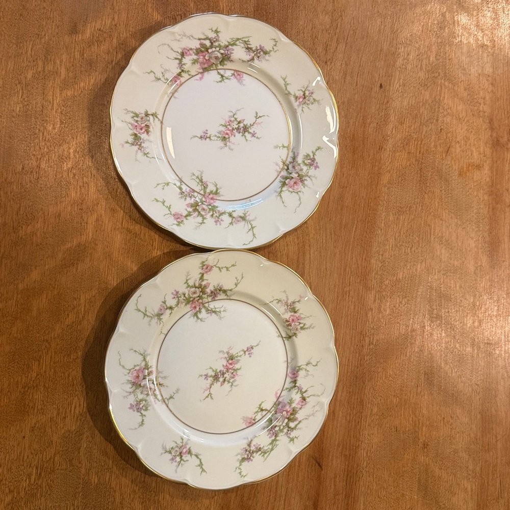 Haviland Floral Patterned Salad Plates
